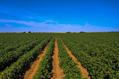 3207 E County Road 5500, Lubbock, TX 79403 - photo 7