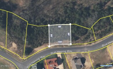 0 Blue Herring Way unit RTC3052483, Sevierville, TN 37876 - photo 4