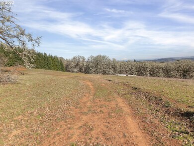 17000 SW Sunnyridge Ln, Sheridan, OR 97378 - photo 7