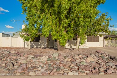 203 N 101st St, Mesa, AZ 85207 - photo 3
