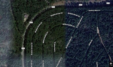 0 Broken Arrow Cir unit 63772753, Hempstead, TX 77445 - photo 2