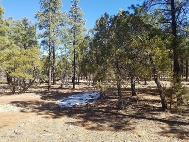 1301 S Jimson Loop
