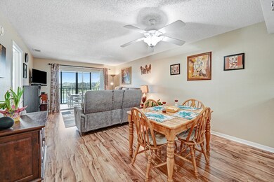 Dining to Living Areas