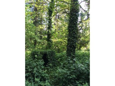 5276 W Sunset Dr, Lake Oswego, OR 97035 - photo 3