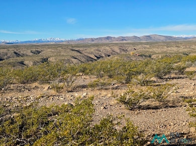 888 Las Palomas Canyon Rd Roads, Las Palomas, NM 87942 - photo 7