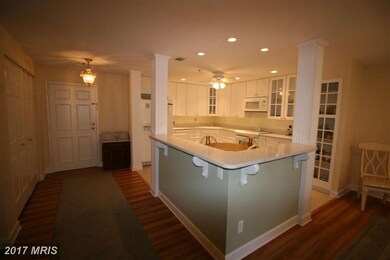 3 Southerly Ct unit 402, Towson, MD 21286 - photo 7