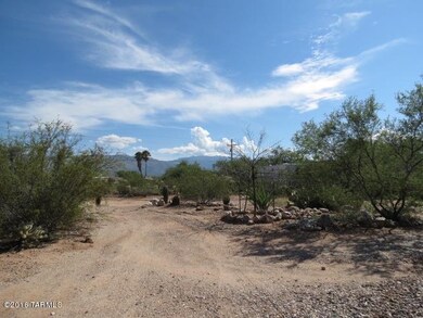Front Yard View 1