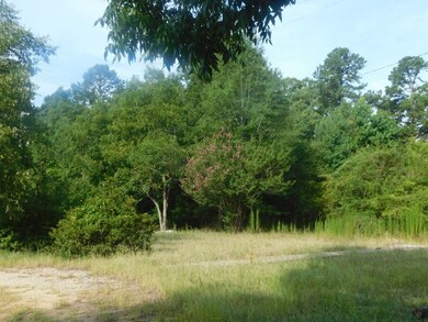 1822 Washington Hwy, Lincolnton, GA 30817 - photo 2
