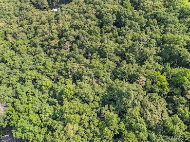 16501 Meadow Hawk Dr, Glencoe, MO 63038 - photo 7