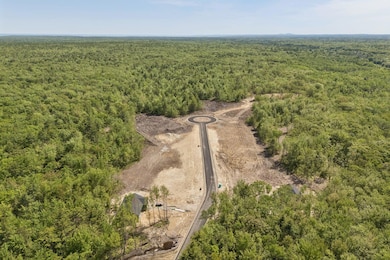 mls_DJI_20250603150307_0834_D