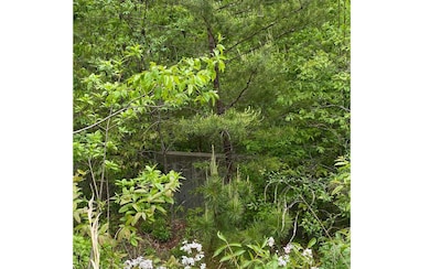 Additional View