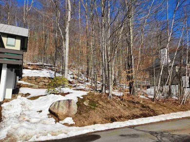 68 Westview Rd, Lincoln, NH 03251 - photo 6