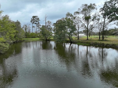 15405 Louisiana 931, Prairieville, LA 70769 - photo 5