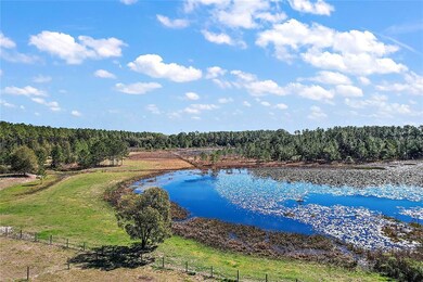 Pond View