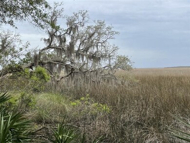 171 Saint Annies Ln, Saint Simons Island, GA 31522 - photo 2