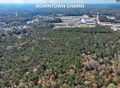 0 Woodthrush Rd, Chapin, SC 29036 - photo 3