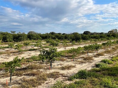 0 Lawrence Stewart Rd unit K4901875, Frostproof, FL 33843 - photo 5