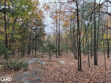 609 Ball Mountain Ln, Shipman, VA 22971 - photo 2