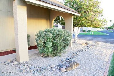 Front Low Maintenance Yard