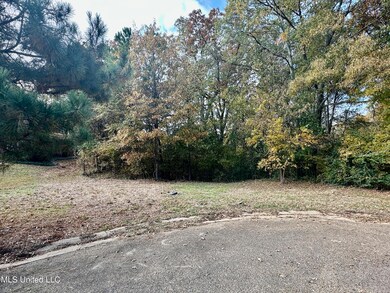 0 Ashton Place unit 4132186, Clinton, MS 39056 - photo 2