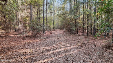 0 Massey Rd unit 182406, Tennille, GA 31089 - photo 7