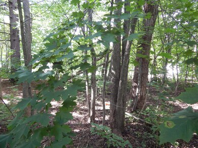 DSCN0872