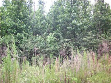 LOT #8 Edgewood Ct, Atmore, AL 36502 - photo 2