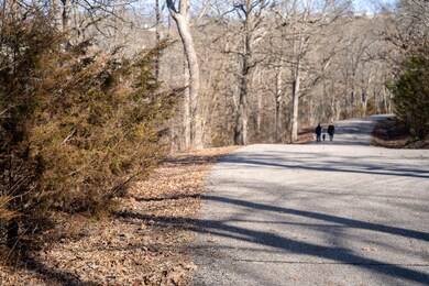 Lot 34 Irish Hills, Kimberling City, MO 65686 - photo 7