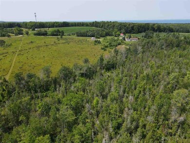 TBD Major Douglas Sloan Rd unit (Old US 31), Charlevoix, MI 49720 - photo 5
