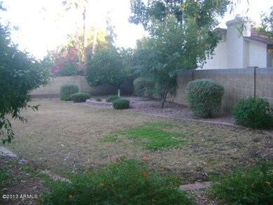 Backyard view 2