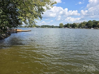 Lake - Left View from Dock