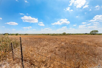 2853 Farm To Market Road 1333, Poteet, TX 78065 - photo 6