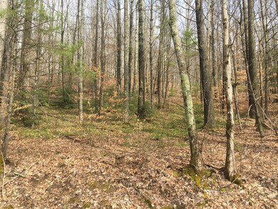 keene 1