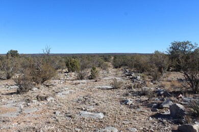 Tbd Greenview Ranch, Seligman, AZ 86337 - photo 5
