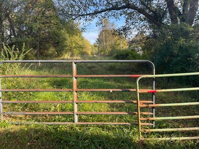 327 Woodlyn Rd, Johnson City, TN 37601 - photo 5