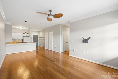 437 Appeldoorn Cir unit 437, Asheville, NC 28803 - photo 6