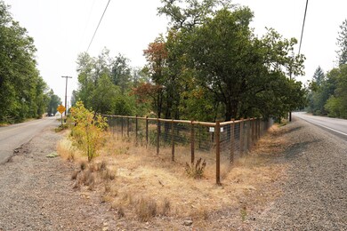DSC00646