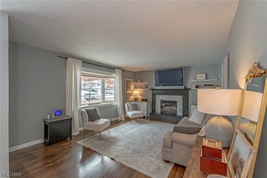 Living room featuring a fireplace and dark wood-type flooring