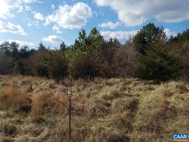 16 Ridgeview Dr, Ruckersville, VA 22968 - photo 5