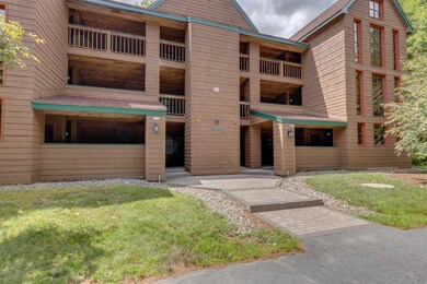 63 Riverfront Dr unit 224, Woodstock, NH 03262 - photo 2