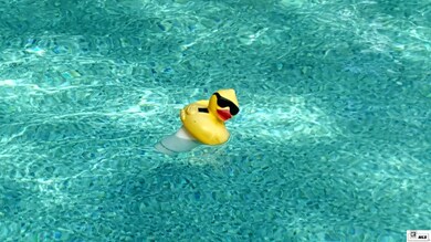 136 Pine St, Choudrant, LA 71227 - photo 5