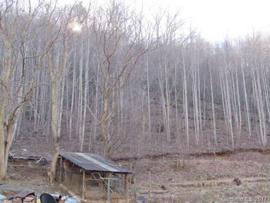 346 Simms Fork Rd, Burnsville, NC 28714 - photo 4