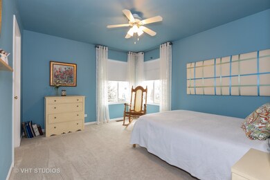 24324 Peartree Way, Plainfield, IL 60585 - photo 3