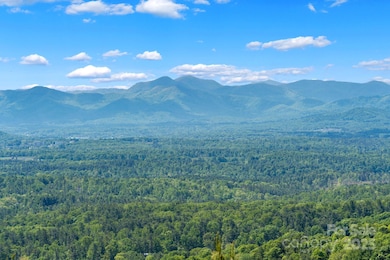 117 Distant View Dr, Asheville, NC 28803 - photo 7