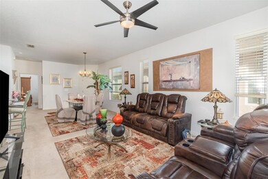 27227 White Plains Way, Leesburg, FL 34748 - photo 5