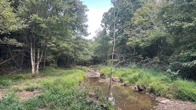 000 Easement unit Goff Rd, Quitman, AR 72131 - photo 2