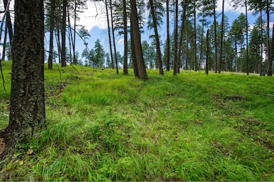 185 Rosewood Ln unit Lot 14, Whitefish, MT 59937 - photo 6