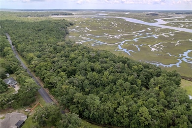 0 Sheffield Island Rd unit 1656491, Woodbine, GA 31569 - photo 3