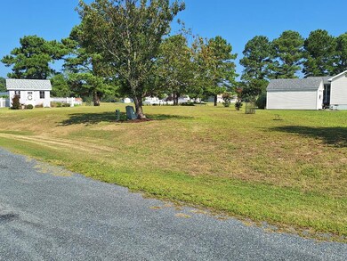 271 Navigator Dr, Greenbackville, VA 23356 - photo 4