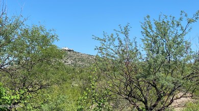 photo3